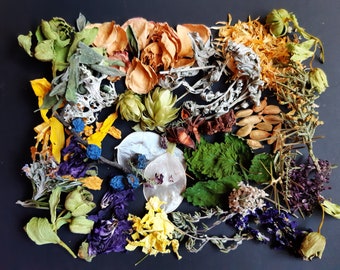 Wiccan herbs set Flowers and leaves Rituels Wicca Charm bags Incense Candle making Herb bath Plants for magic