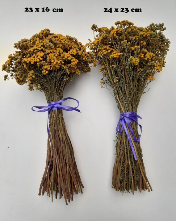 Bouquet De Fleurs Séchées Tanaisie Commun Fleurs Sauvages Jaunes Bouquet Dété Arrangement Floral Décoration Maison Tanacetum Vulgare