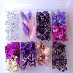 Puede incluir: Una caja organizadora de plástico transparente con ocho compartimentos llenos de flores secas y elementos botánicos variados en tonos blanco, rosa, morado y magenta, incluyendo paniculata, colas de conejo y diversos pétalos prensados.