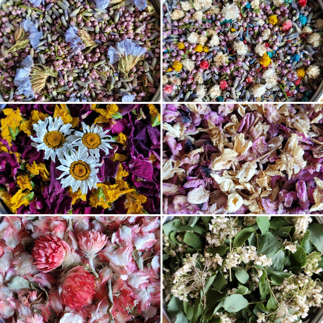 Audab Lot De 6 Boîtes De Fleurs Séchées Pour Nail Art, 190 Mini Fleurs En Résine Pour Décoration