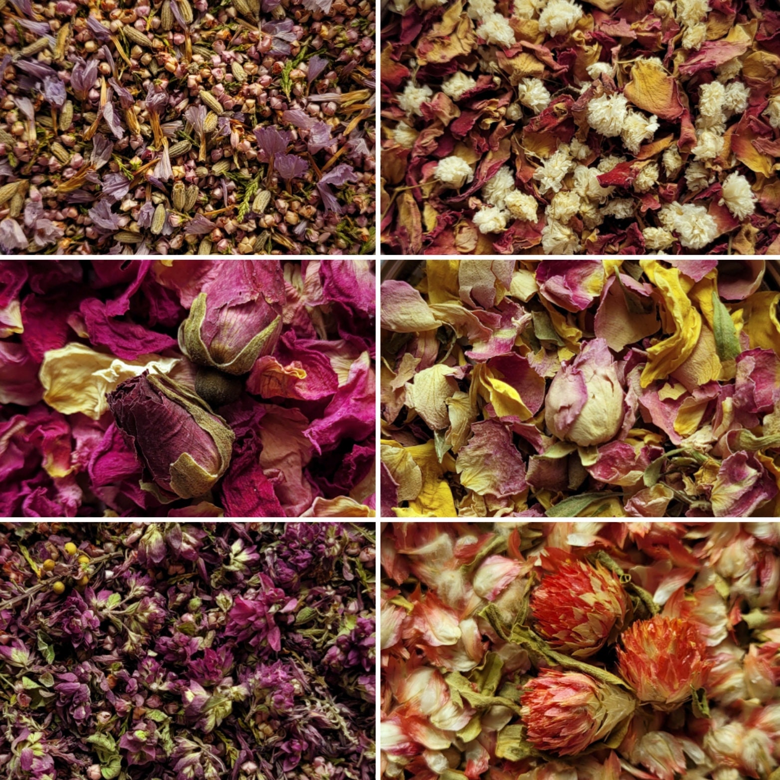 Dried Rose Petals and Buds