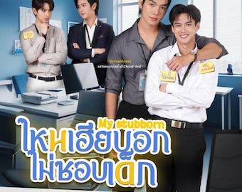 My Stubborn BL Romance Novel Vol 1 & 2 | English Translation (PDF EBOOK)