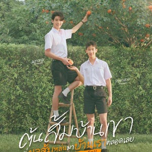 Może przedstawiać: Dwie młode osoby w białych koszulach i czarnych szortach w gaju pomarańczowym. Jedna stoi na drabinie sięgając po pomarańczę, druga trzyma pomarańczę. Obraz zawiera tekst "When Oranges Fall".