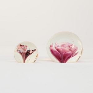 Set of two vintage Murano glass paperweights