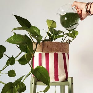 May include: A green leafy plant in a cylindrical fabric planter with a natural burlap top band and vertical magenta stripes on a cream background, positioned on a light green wooden stool while being watered from a clear glass pitcher.