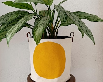 Indoor Planters