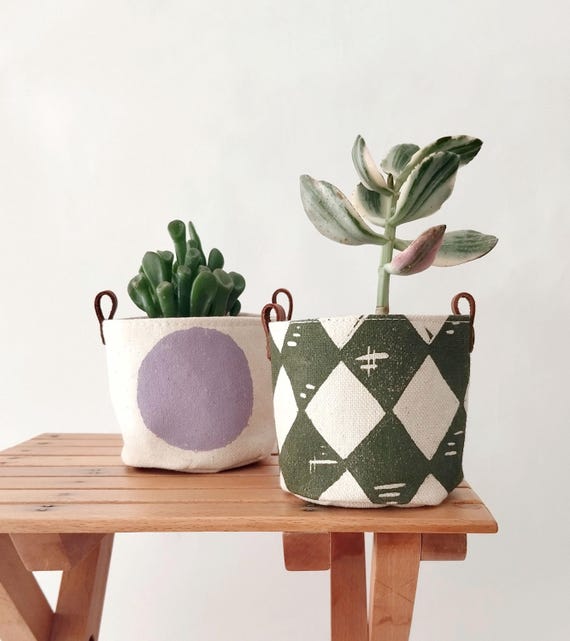 containers for air plants Trio of White Geometric Ceramic Containers with Assorted Tillandsia Ai   Seedville USA
