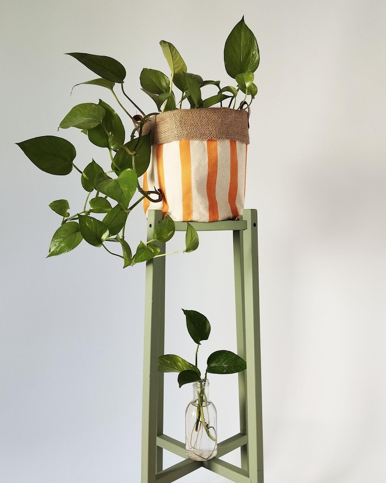 May include: A houseplant in a white and orange striped fabric pot with a burlap rim. The pot is on a light green wooden plant stand. A small plant cutting is in a glass bottle on the stand. The plant stand is painted a pale green.