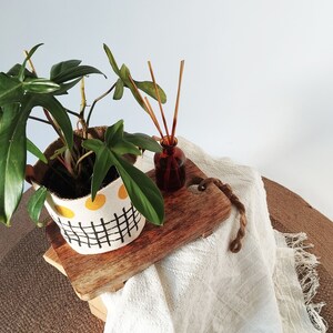 Minimal Fabric Indoor Planter, Modern Gardener Home Decor, Small Block Printed Canvas Basket, Canvas Plant Cover image 9