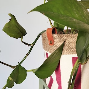 May include: A houseplant in a decorative pot. The pot is made of burlap and canvas with red stripes. A brown leather plant support strap is attached to the pot. The plant has large green leaves.