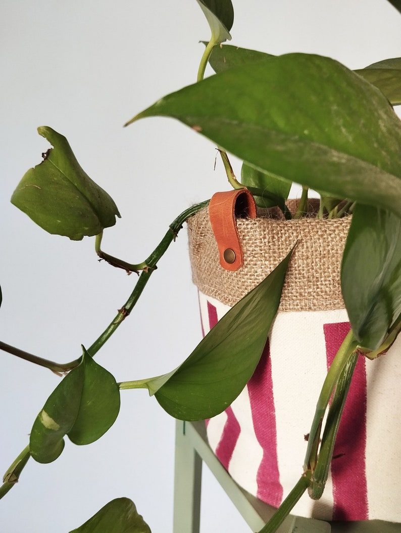 May include: A houseplant in a decorative pot. The pot is made of burlap and canvas with red stripes. A brown leather plant support strap is attached to the pot. The plant has large green leaves.