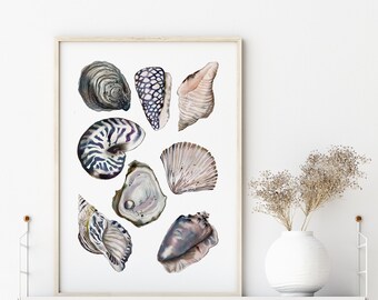 Bathroom Shell Art - Etsy