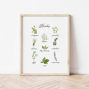 Kitchen Herb Print Set of 2, Food Wall Art, Herbs and Vegetable ...