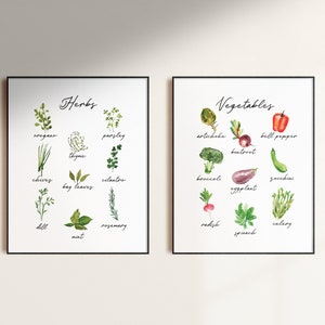 Kitchen Herb Print Set of 2, Food Wall Art, Herbs and Vegetable ...