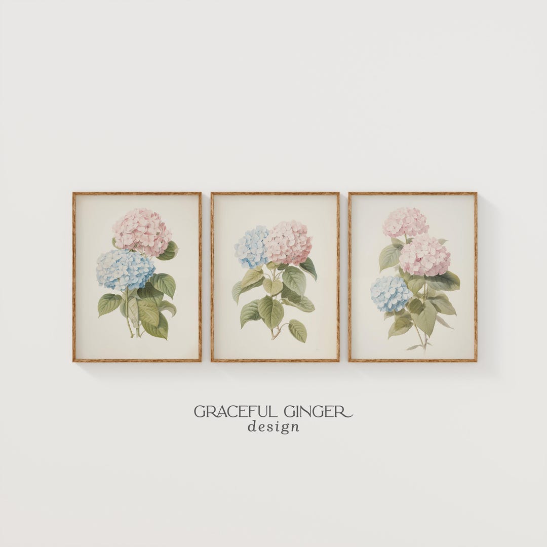Hydrangeas Watercolor Print: Botanical Flowers Printable Wall Art ...