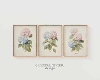 Hydrangeas Watercolor Print: Botanical Flowers Printable Wall Art | Vintage Floral Home Decor (Digital Download)