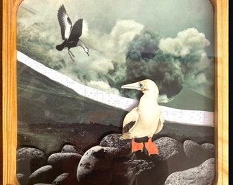 Seabird with Braille