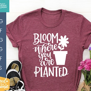 Bloom onde você está plantado arquivo de corte svg, floral svg, citação de flor svg, citação de flor, citação para meninas, arquivos de corte cricut, arquivos de silhueta
