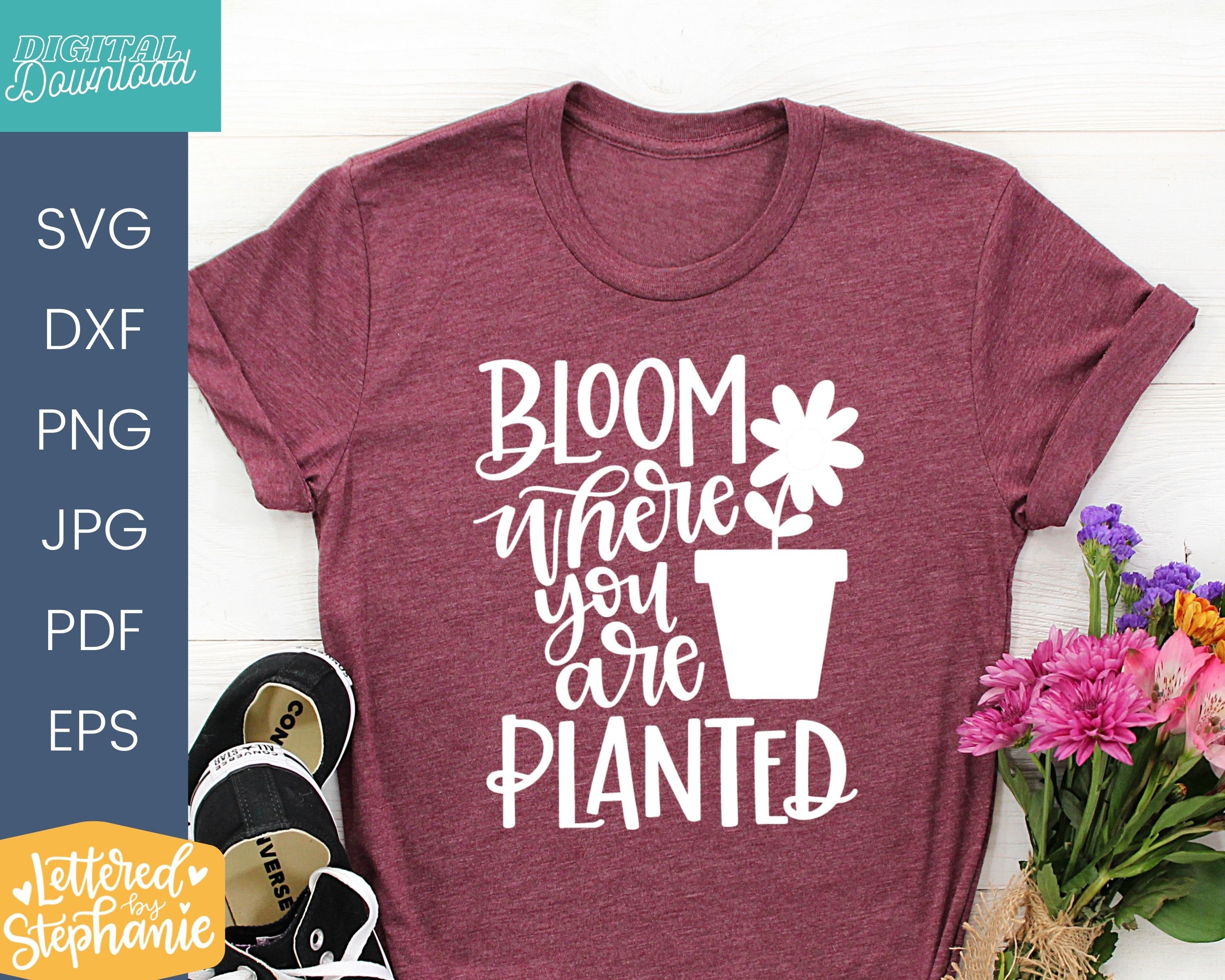 Mini-Wandschild Mit Spruch "Bloom Where You Are Planted" – Deko-Schild Mit Gänseblümchen, 8x5 Cm – Süßes Geschenk Für Gute Laune