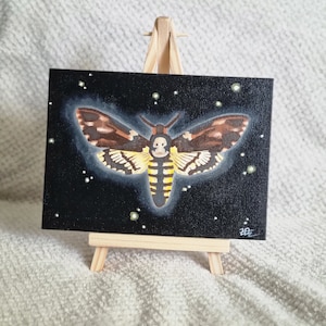 Death Head Moth