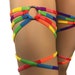 Freya's Leg Wraps Rainbow Garter Thing Wraps Gay Flag Pride Parade  LGBTQ Rave Outfits Rave wear Exotic Dancewear Clubwear 