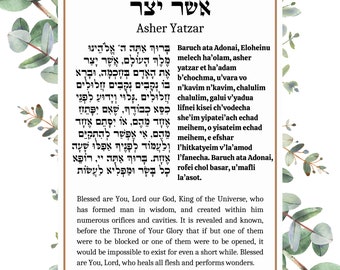 Asher Yatzar Wall Blessing in Hebrew, English, and transliteration in botanical design frame, Jewish bathroom prayer