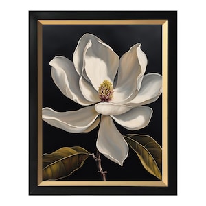 May include: A white magnolia flower with a yellow center and green leaves against a black background. The flower is in focus and the background is blurred.