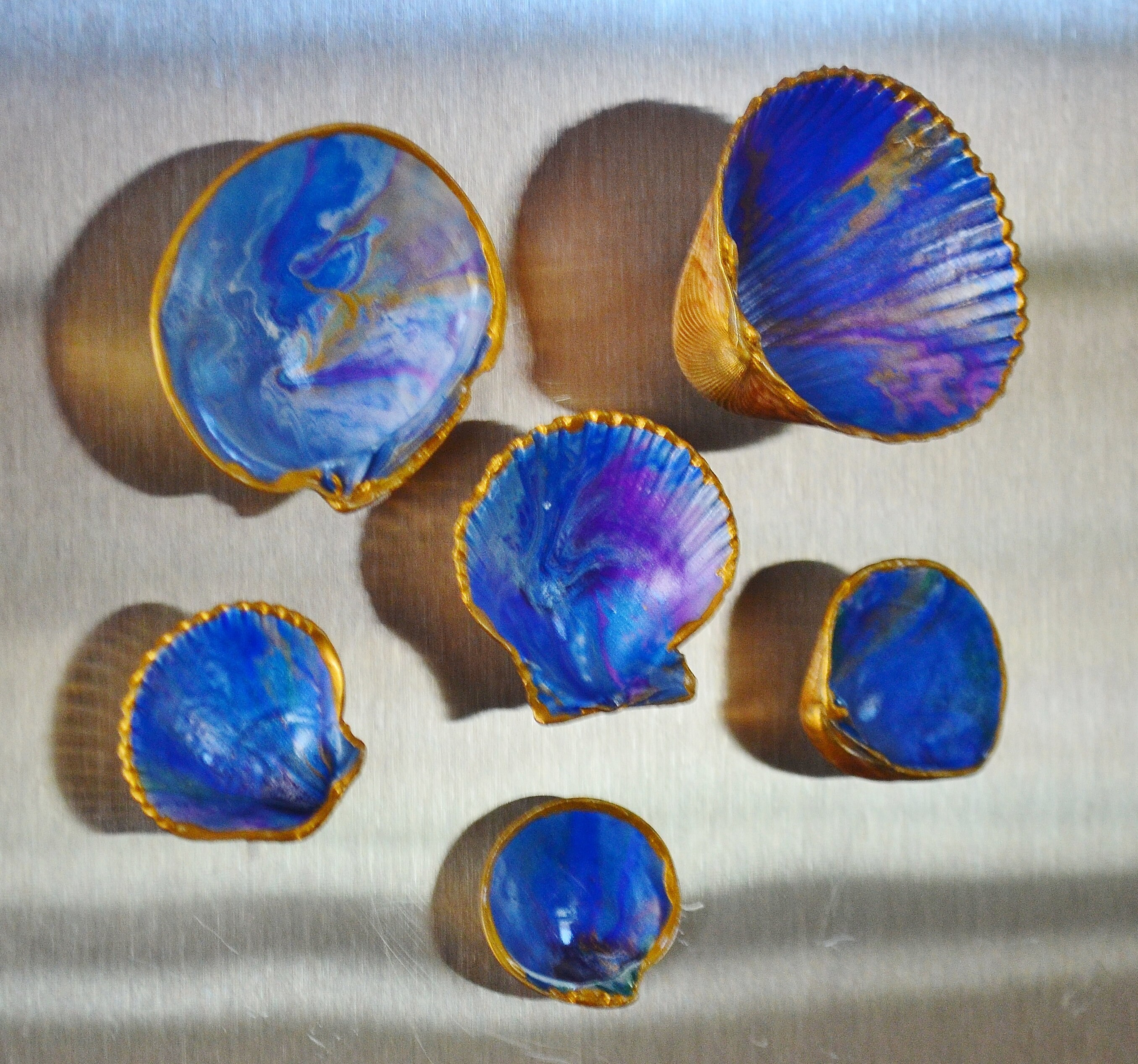 Shell Decorative Refrigerator Acrylic Etsy UK