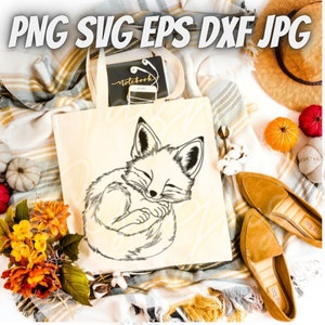 Raposa fofa | Hora da soneca | Sono | Outono | Outono | Animal Selvagem | png jpg svg dxf eps | Transferir imagem | Gráfico vetorial