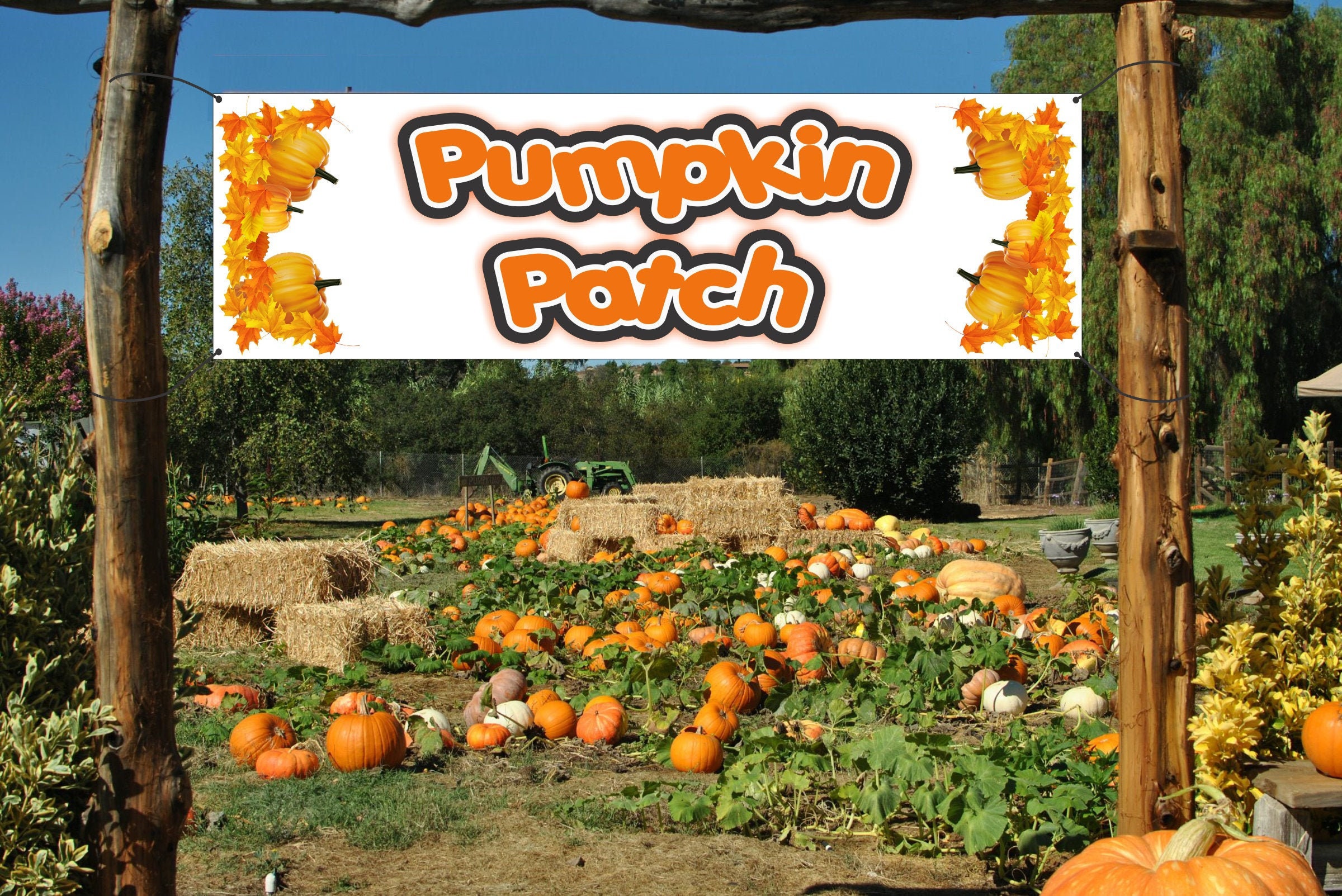 pumpkin-patch-banner-etsy