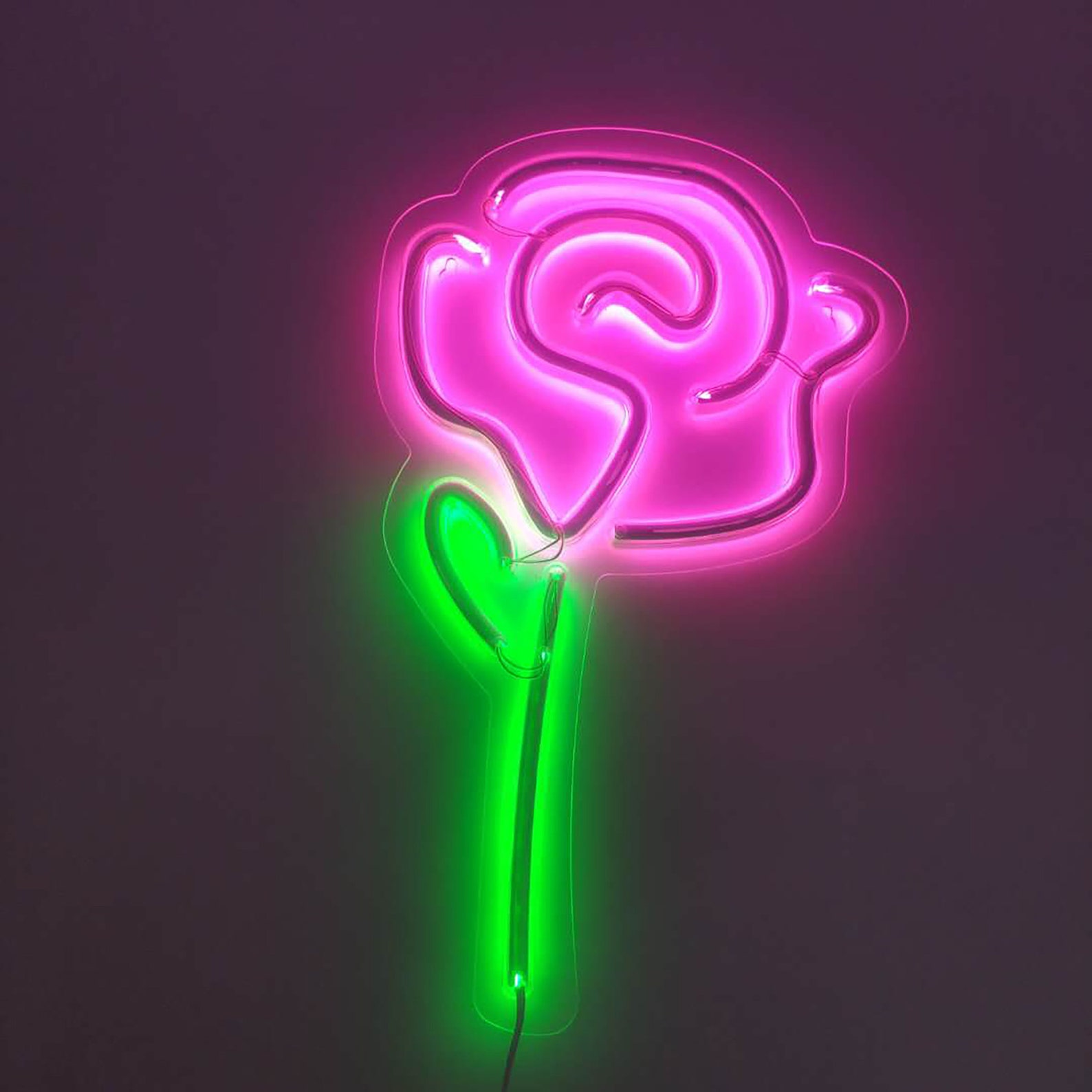 Rose Neon Light Wall Neon Rose Néon lumière murale Lumières Etsy