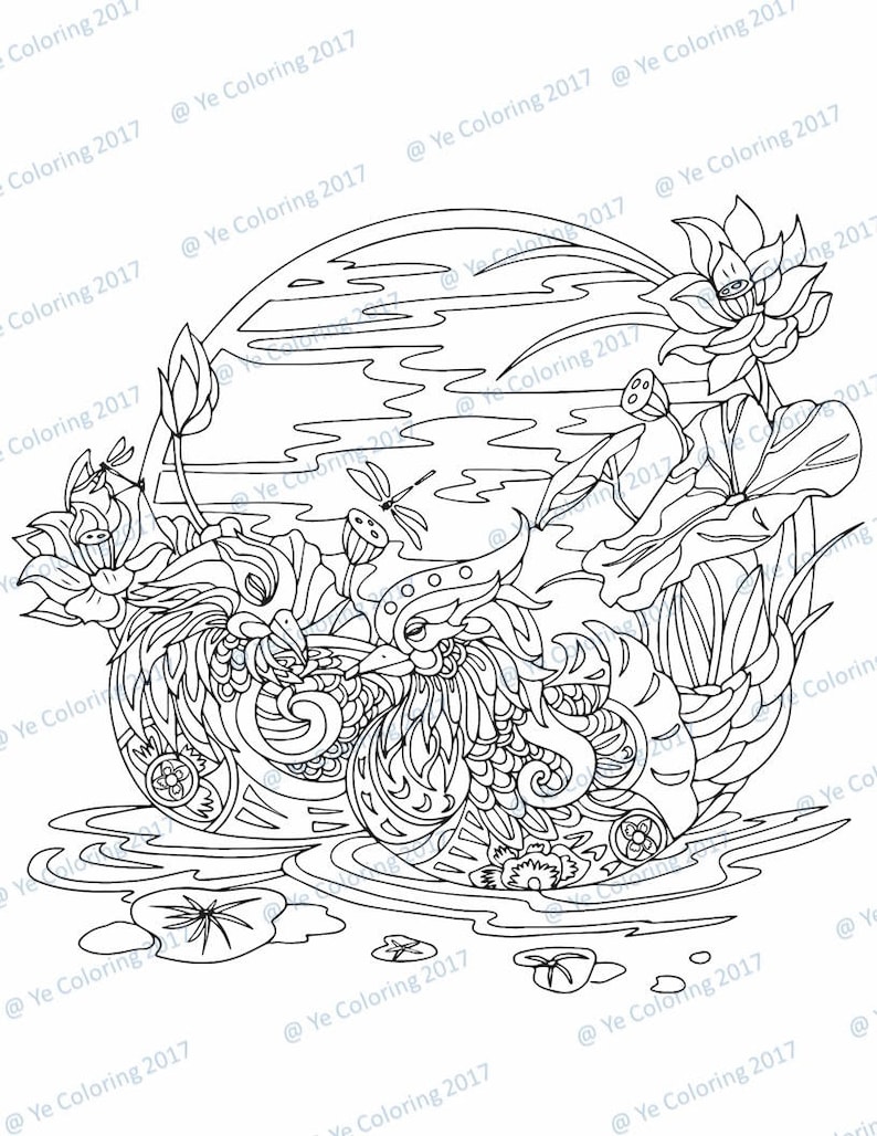 Download Mandarin Ducks Coloring Page Printable File | Etsy