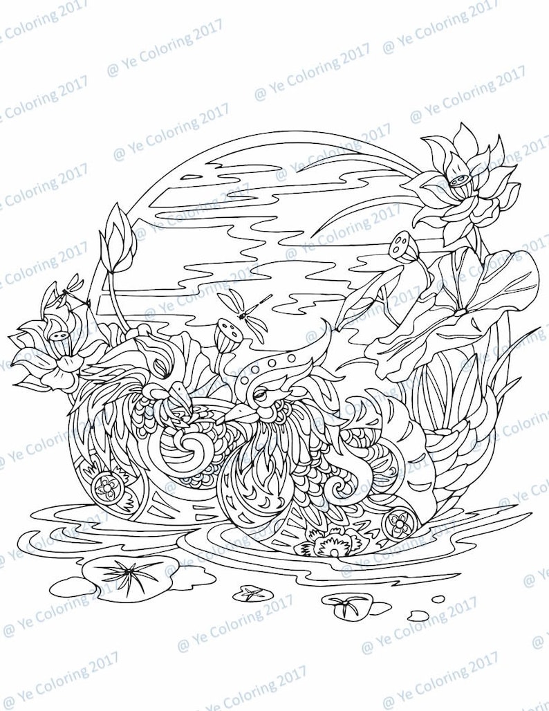 Fichier imprimable de coloriage de canards mandarins image 1