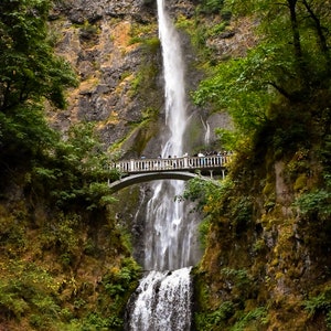 A (not so) hidden gem in northwest Oregon