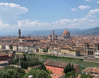 Florence from above