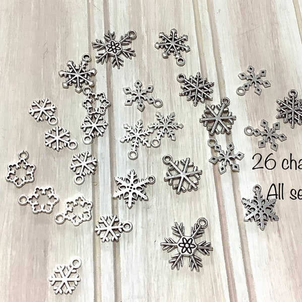 Snowflake charms antique silver set of 26