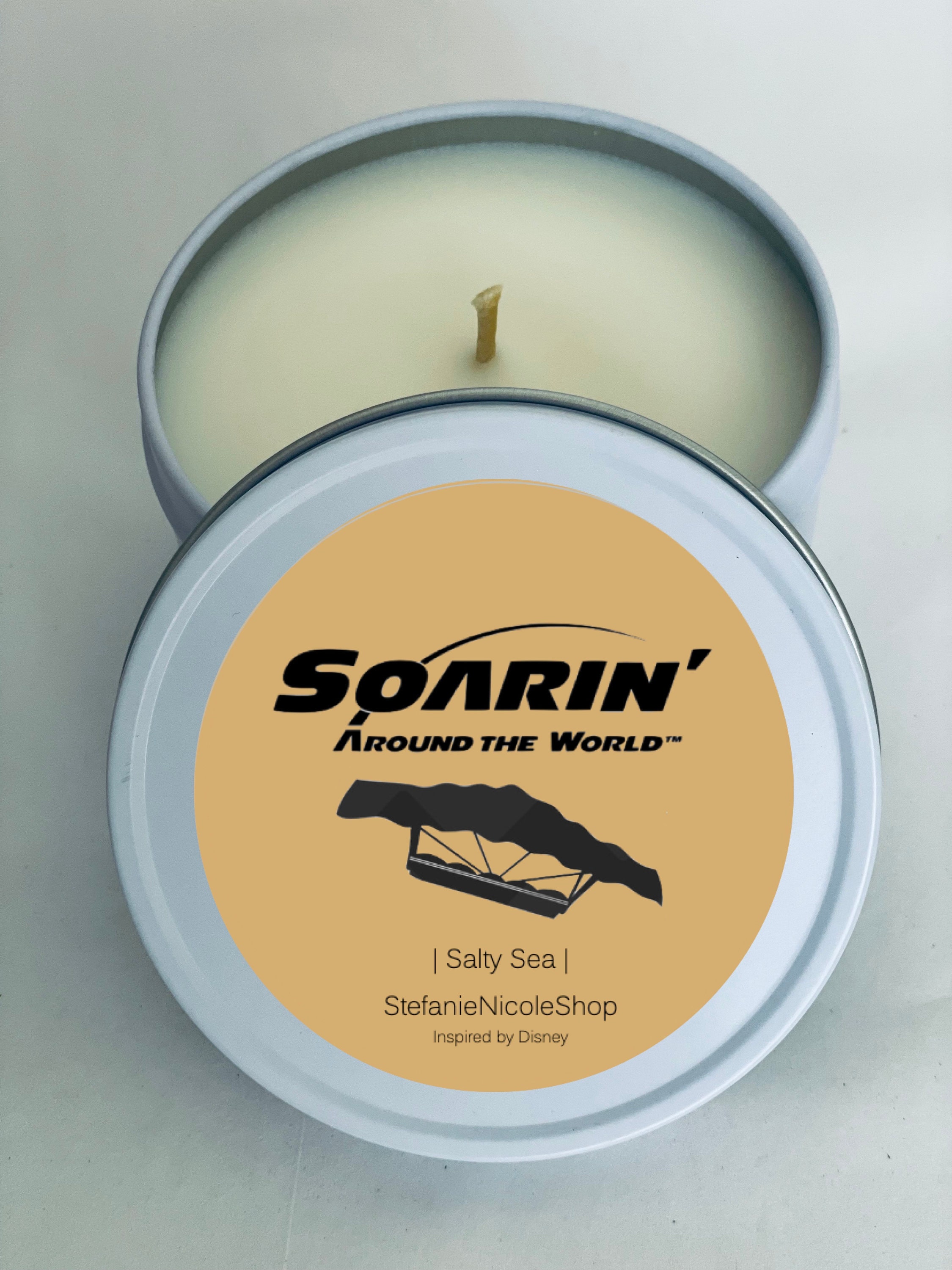 SOARIN\' OVER THE SEA (Ocean Breeze) candles and home fragrance products
