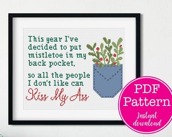 I put mistletoe in my back pocket so everyone can kiss my ass Christmas Sampler Cross Stitch Pattern| Holiday Sarcastic XStitch Design