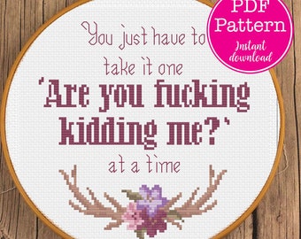 One Day at A Time F-cking Kidding Me cross stitch | Take it one Are you F-ing Kidding Me at a time x-stitch pattern | WTF sarcastic sampler