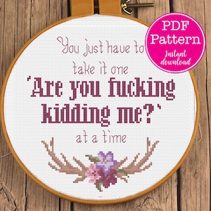 One Day at A Time F-cking Kidding Me cross stitch | Take it one Are you F-ing Kidding Me at a time x-stitch pattern | WTF sarcastic sampler