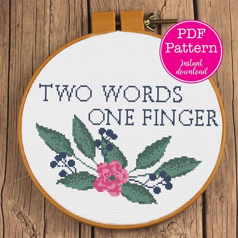 Two Words One Finger Sarcastic Cross Stitch Dirty Mind Etsy