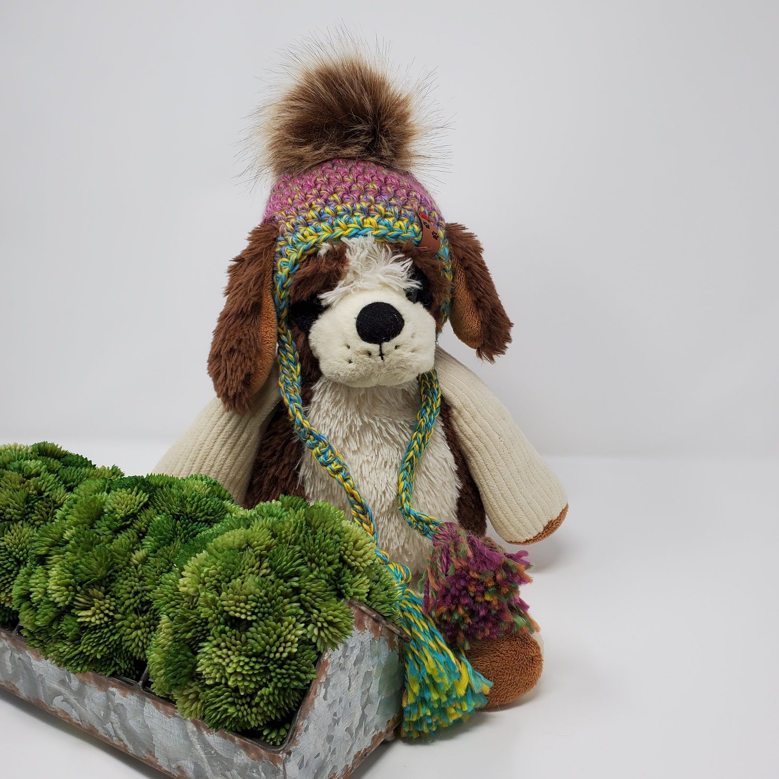 Crochet Pet Hat Crochet Dog Hat Crochet Cat Hat Crochet Dog Etsy