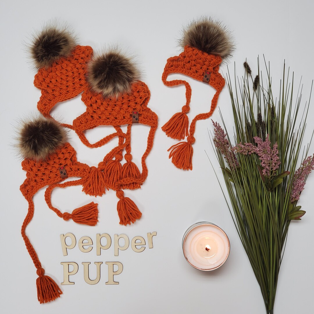 Crochet Pet Hat Crochet Dog Hat Crochet Cat Hat Crochet Dog Beanie Pet