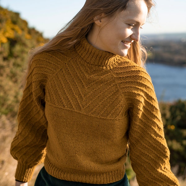 Patron de tricot de pull coupe vintage à col roulé raglan, sans coutures — Dryad