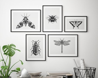 Illustration of insects, Modern Wall Art, animal Print, Botanic Design, Scandinavian Poster, Modern Wall Decor | A4, A5