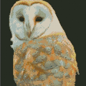 Barn Owl Counted Cross Stitch Kit 15&quot; x 8.75&quot;