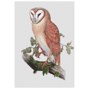 Barn Owl 7 Counted Cross Stitch Kit 13&quot; x 9&quot;