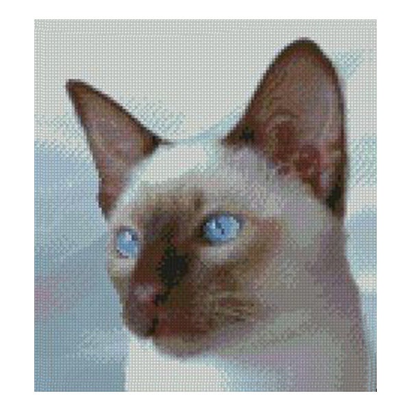Siamese Cat 2 Complete Counted Cross Stitch Kit 10.8" x 10" (28cm x 25.5cm) 11 Count