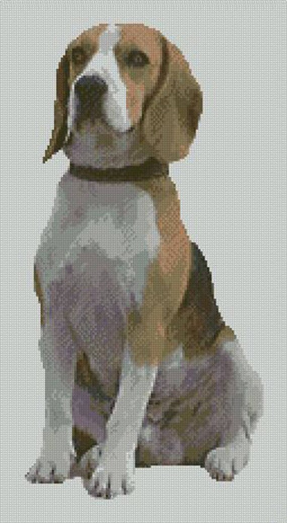 Yorkie 4 Yorkshire Terrier Dog Counted Cross Stitch Kit 9/" x 7/" 23cm x 18cm