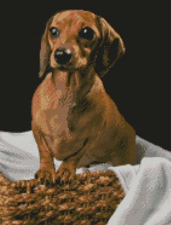 3 metres x Dachshund Sausage Dog Winter Ribbon 15mm puppy cotton 3 metres x Dachshund Sausage Dog Winter Ribbon 15mm puppy cotton